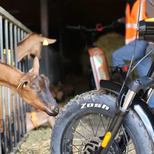 https://vinorizon.fr/wp-content/uploads/2025/03/parcours-visite-trottinettes-sancerre-chevrerie-300x300.webp